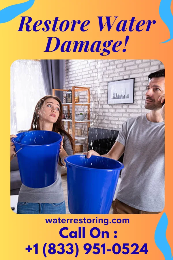 water restoration Precision Sewage Cleanup Pros Union Grove
