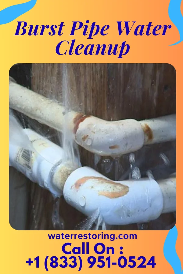 Burst Pipe Water Cleanup in Union Grove, TX
