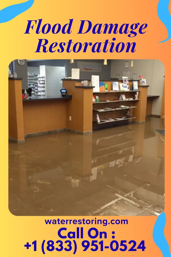 Flood Damage Restoration in Union Grove, TX