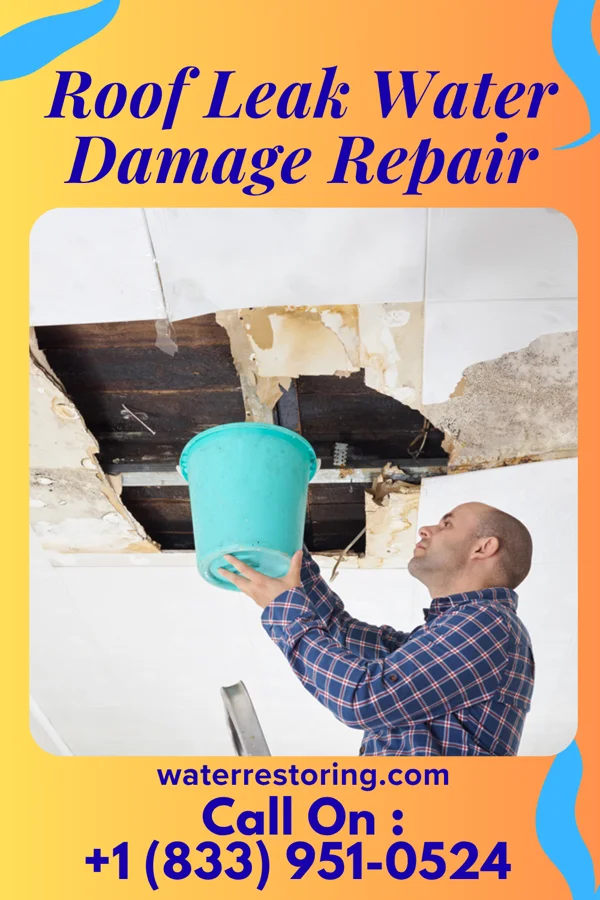 Roof Leak Water Damage Repair in Union Grove, TX